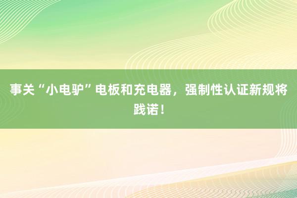 事关“小电驴”电板和充电器，强制性认证新规将践诺！