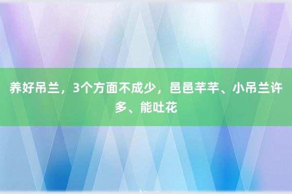 养好吊兰，3个方面不成少，邑邑芊芊、小吊兰许多、能吐花