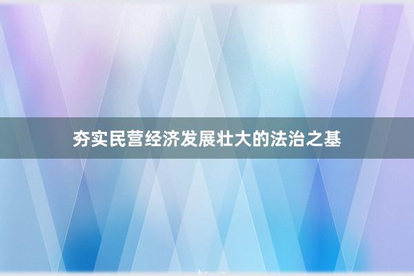 夯实民营经济发展壮大的法治之基